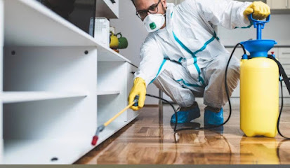 شركة مكافحة حشرات بمكة (شاملة)