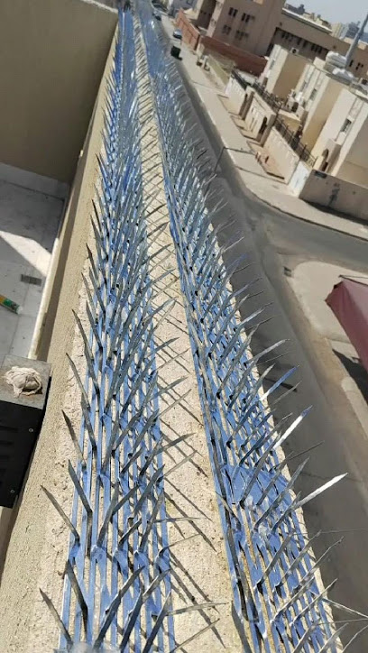 شركة تركيب طارد حمام بالقصيم شبك اشواك مكافحة الحمام ببريدة