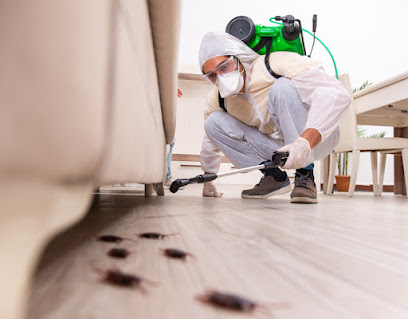 شركة تنظيف نجد الريادة نظافة فلل ومكافحة حشرات