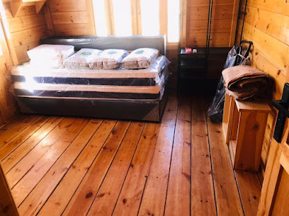 شركة مكافحة حشرات بالطائف رش مبيدات حشرات صراصير بق الفراش النمل الأبيض بالطائف