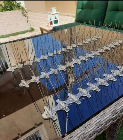 شركة ASDAST لطارد الحمام بالمدينة