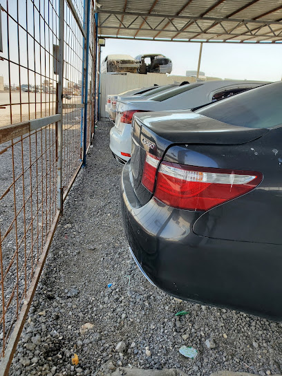 شركة رش مبيدات بالرياض شركة الرعاية كروم رش دفان مكافحة النمل الأبيض مع الضمان بالرياض