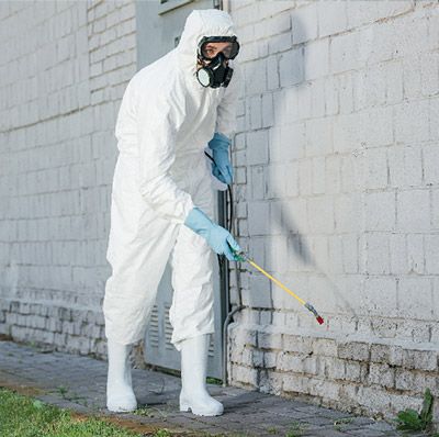 شركة مكافحة النمل بجدة - أفضل الأسعار والشركات المعتمدة من بروكر | تم التحقق عبر نفاذ SBC