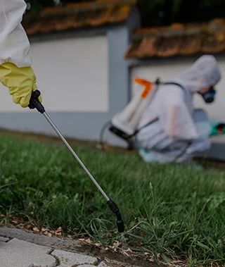 شركة مكافحة البق بجدة - أفضل الأسعار والشركات المعتمدة من بروكر | تم التحقق عبر نفاذ SBC