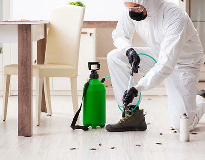 شركة مكافحة الحمام بجدة - أفضل الأسعار والشركات المعتمدة من بروكر | تم التحقق عبر نفاذ SBC