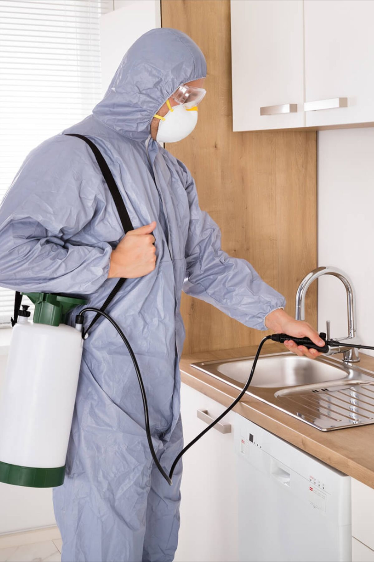 أفضل شركة مكافحة حشرات بجازان - تم التحقق عبر نفاذ SBC - خدمات معتمدة 2026