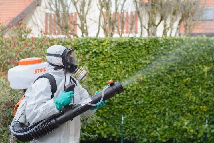 شركة مكافحة الثعابين بجدة - أفضل الأسعار والشركات المعتمدة من بروكر | تم التحقق عبر نفاذ SBC