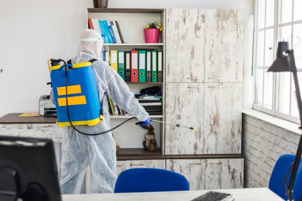 شركة مكافحة النمل الابيض بجدة - أفضل الأسعار والشركات المعتمدة من بروكر | تم التحقق عبر نفاذ SBC